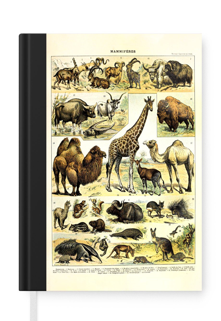 MuchoWow Notizbuch Tiere - Giraffe - Kamel, Journal, Merkzettel, Tagebuch, Notizheft, A5, 98 Seiten, Haushaltsbuch