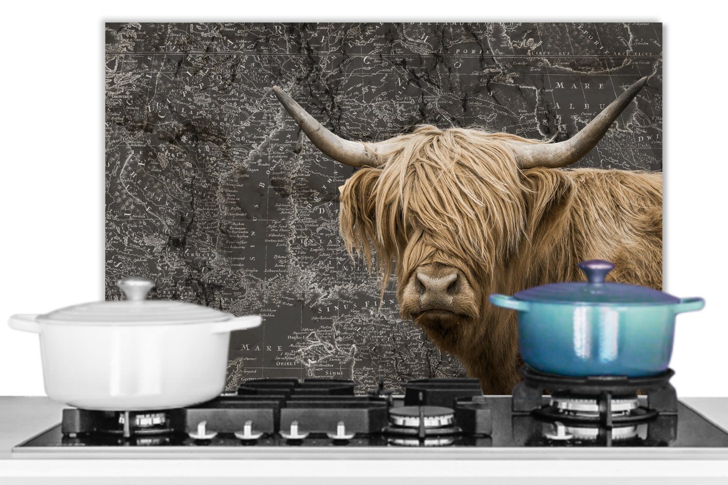 Schottische küchen cm, (1-tlg), - aus Küchenrückwand 60x40 Highlander Weltkarte Wandschutz, MuchoWow Temperaturbeständig Kuh, - Herdblende