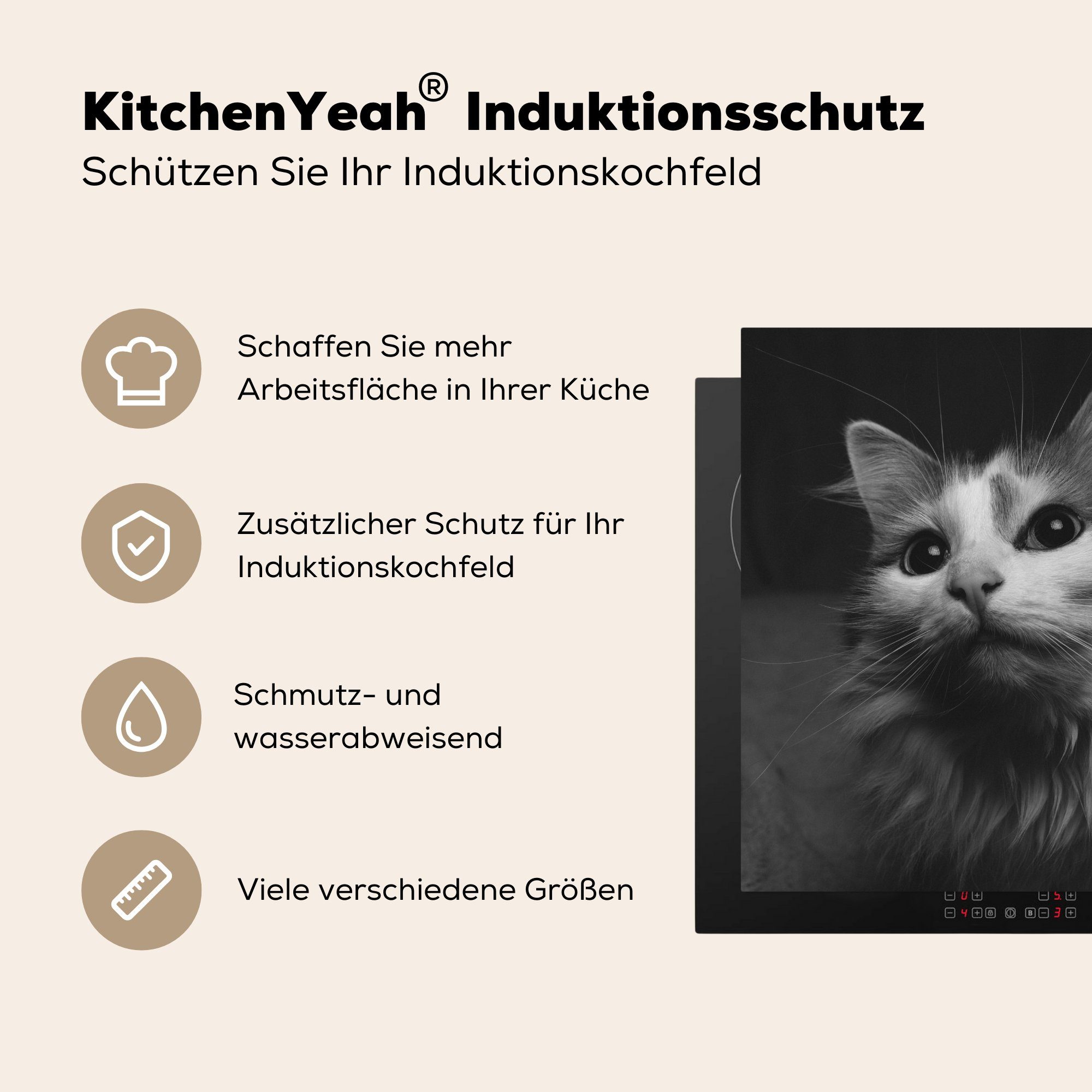 (1 78x78 küche Tierprofil Vinyl, weiß, für MuchoWow Ceranfeldabdeckung, Katze in schwarz Arbeitsplatte und Herdblende-/Abdeckplatte cm, tlg),