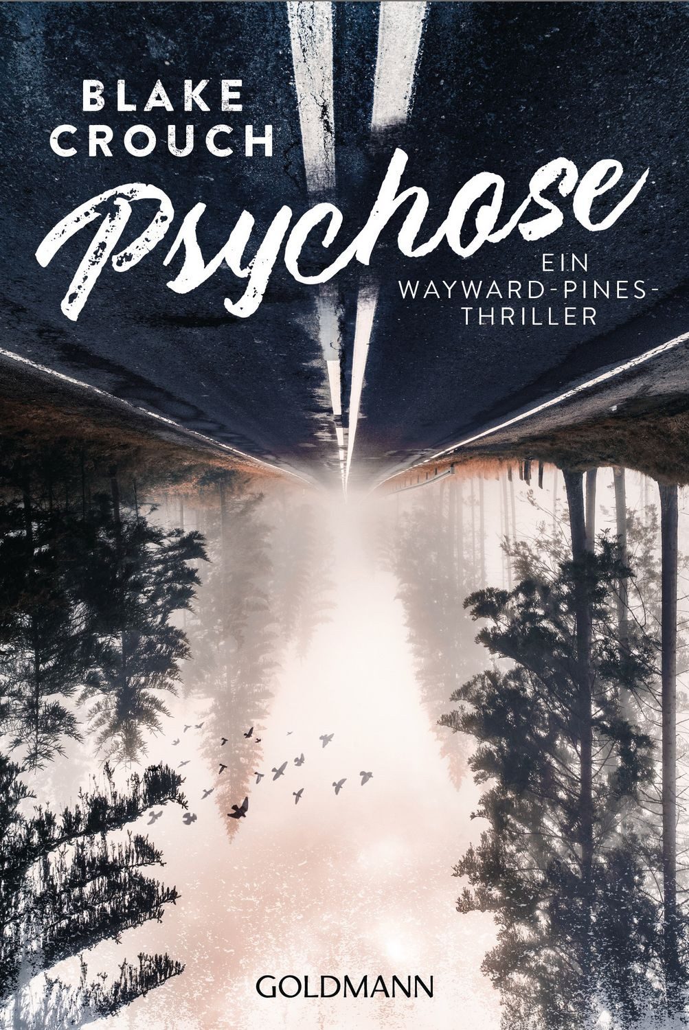 Belletristik Psychose Thriller Blake Crouch
