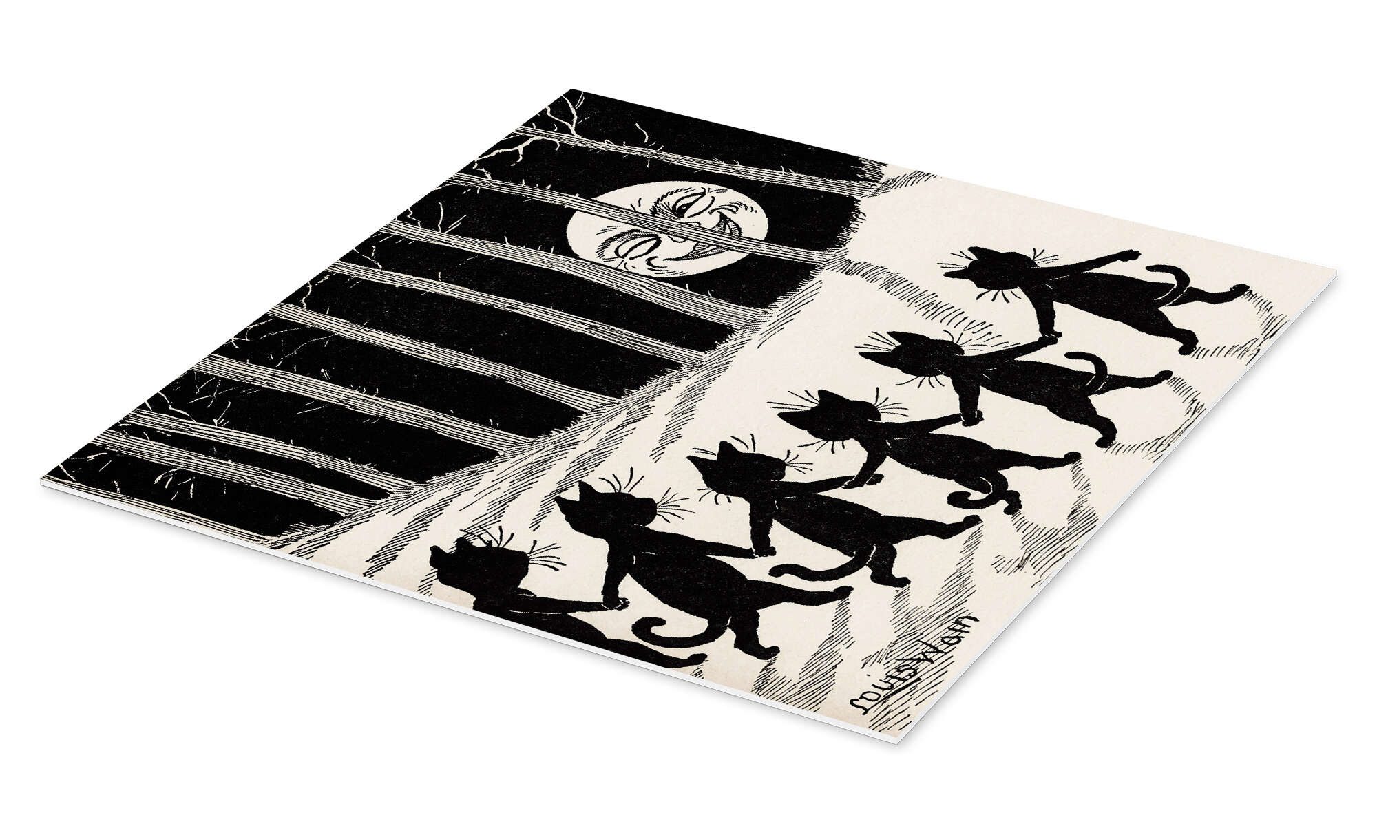 Posterlounge Wandbild Katzen bei Vollmond, Louis günstig online kaufen