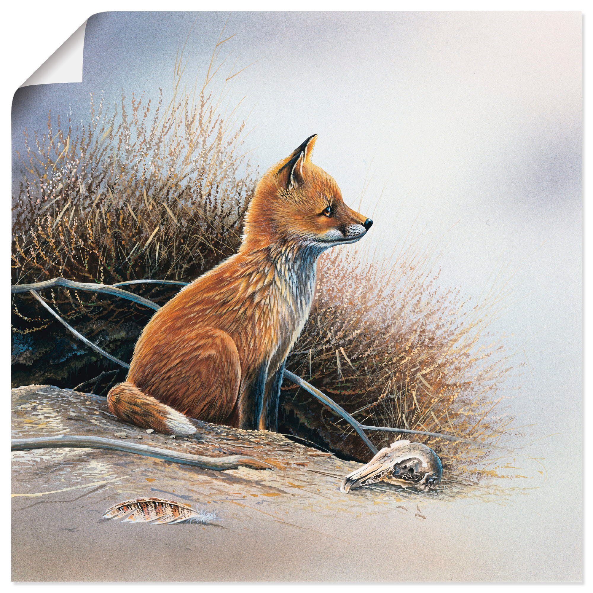 oder versch. in Wandbild Fuchs, als Größen St), Artland Poster Kleiner Wandaufkleber Leinwandbild, Wildtiere (1