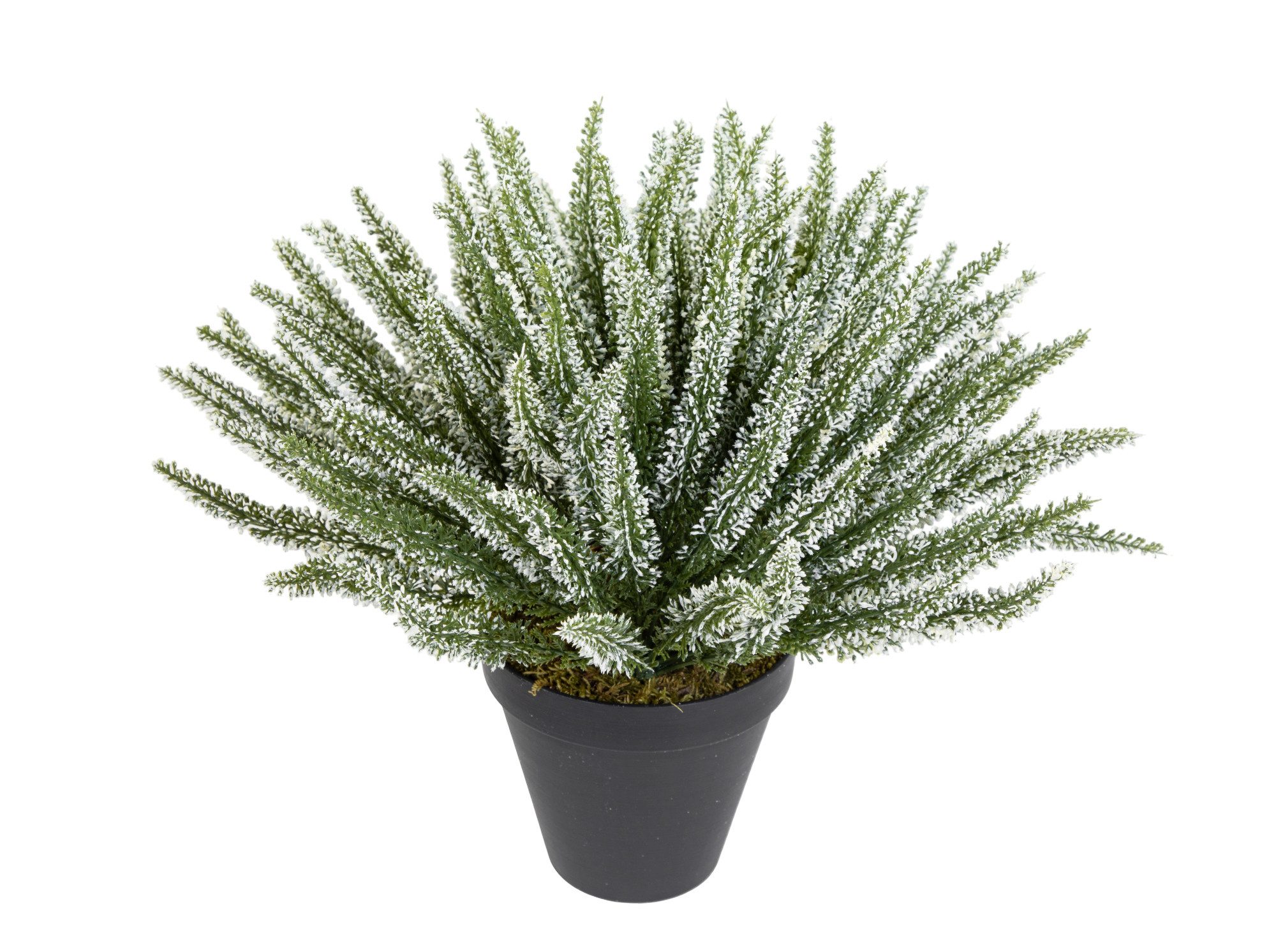 Kunstblume Großes Erika / Heidekraut 42x36cm günstig online kaufen