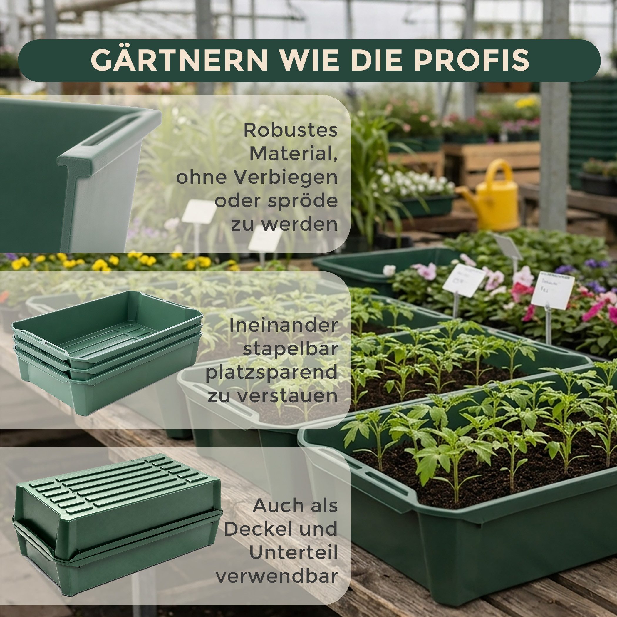 Hausfelder Pflanzschale Pikierschale, Anzuchtschale Grün, 32x58x11cm, 1 Stück (1er Set, 1 St), als Pflanzwanne, Blumenkasten oder Anzuchtschale nutzbar.