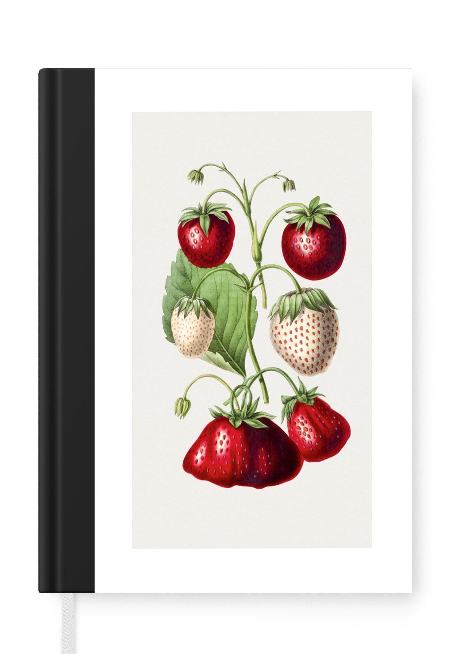 MuchoWow Notizbuch Erdbeere - Obst - Lebensmittel, Journal, Merkzettel, Tagebuch, Notizheft, A5, 98 Seiten, Haushaltsbuch