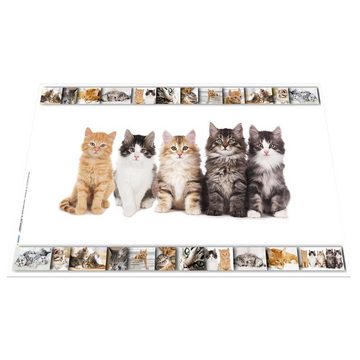 HERMA Schreibtischunterlage Katzen 55 x 35 cm