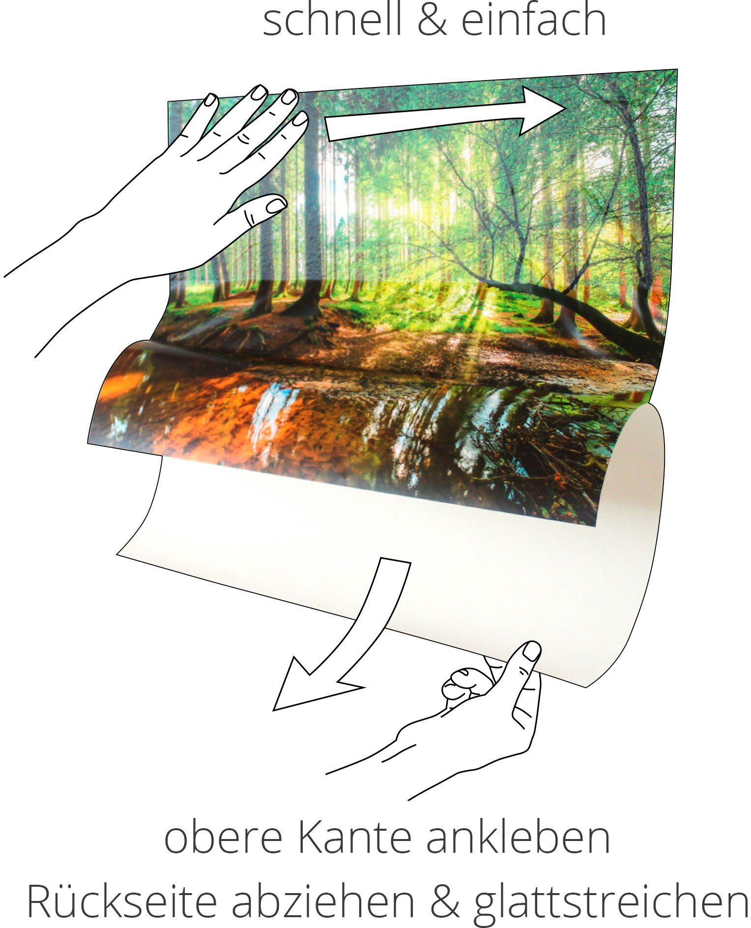 in versch. oder Poster als Wandaufkleber Wandbild Schwarzwald. St), 1891, Wald im Artland Größen Leinwandbild, Wanderer (1 Der