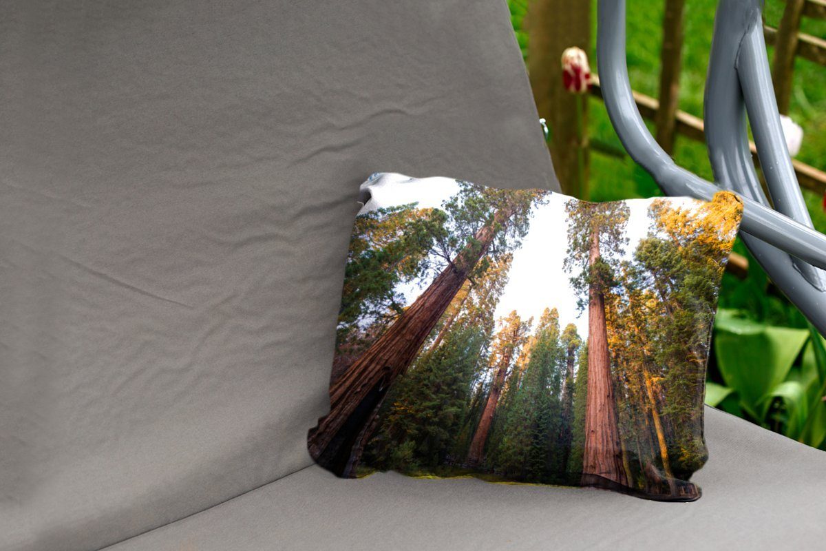 in Sequoia MuchoWow National Riesenmammutbäume Staaten, den Kissenhülle Polyester, im Vereinigten Outdoor-Dekorationskissen, Dekokissenbezug, Park Dekokissen