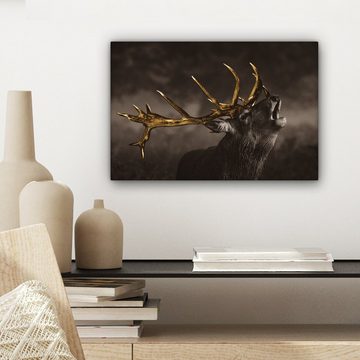 OneMillionCanvasses® Leinwandbild Rotwild - Schwarz - Gold, (1 St), Wandbild Leinwandbilder, Aufhängefertig, Wanddeko, 30x20 cm