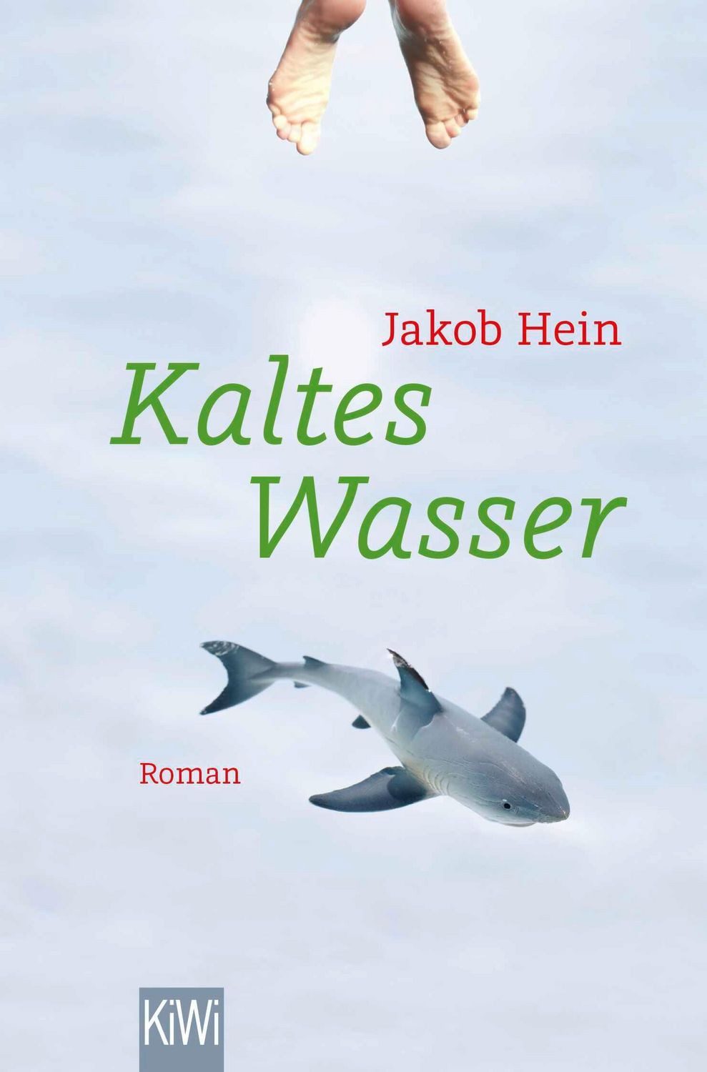 Kaltes Wasser / Jakob Hein