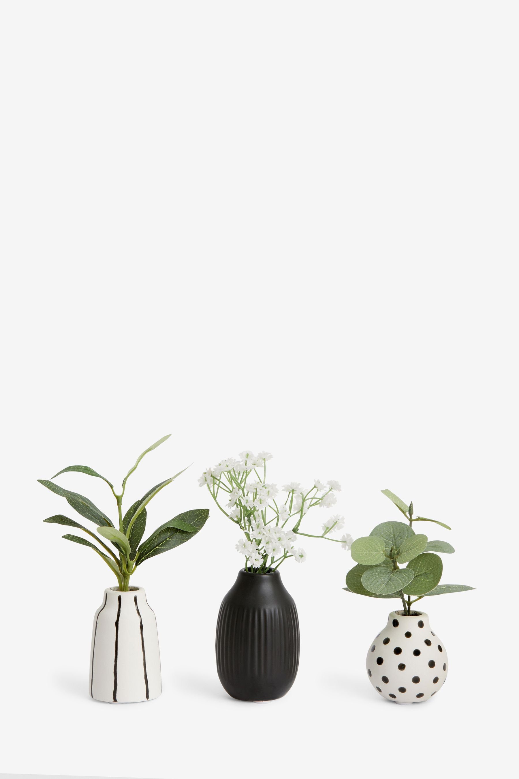 Künstliche Zimmerpflanze einfarbigen Kunstpflanzen Next Keramiktöpfen,3er-Set, in