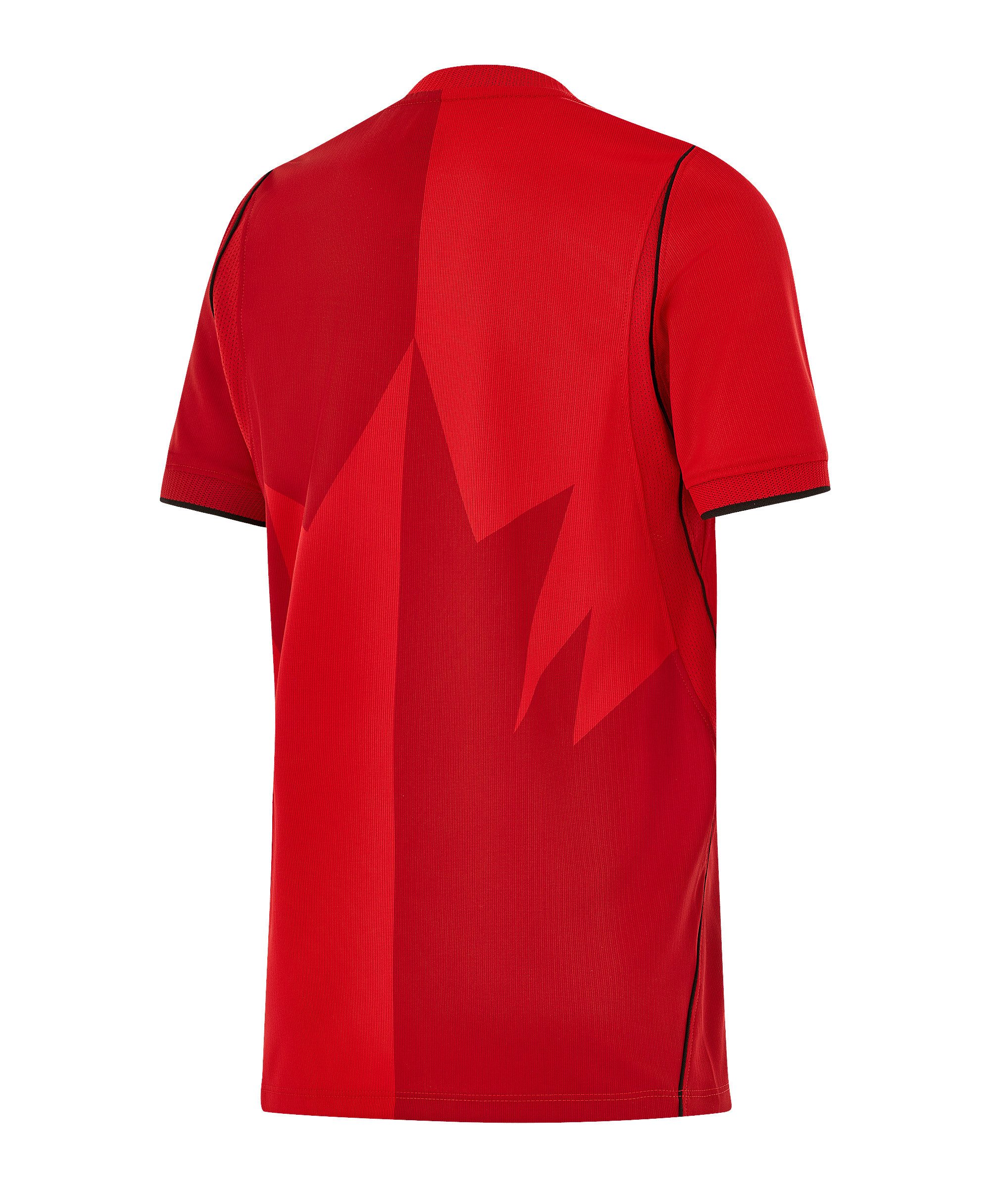 Nike Fußballtrikot Nike Performance Weltmeisterschaft