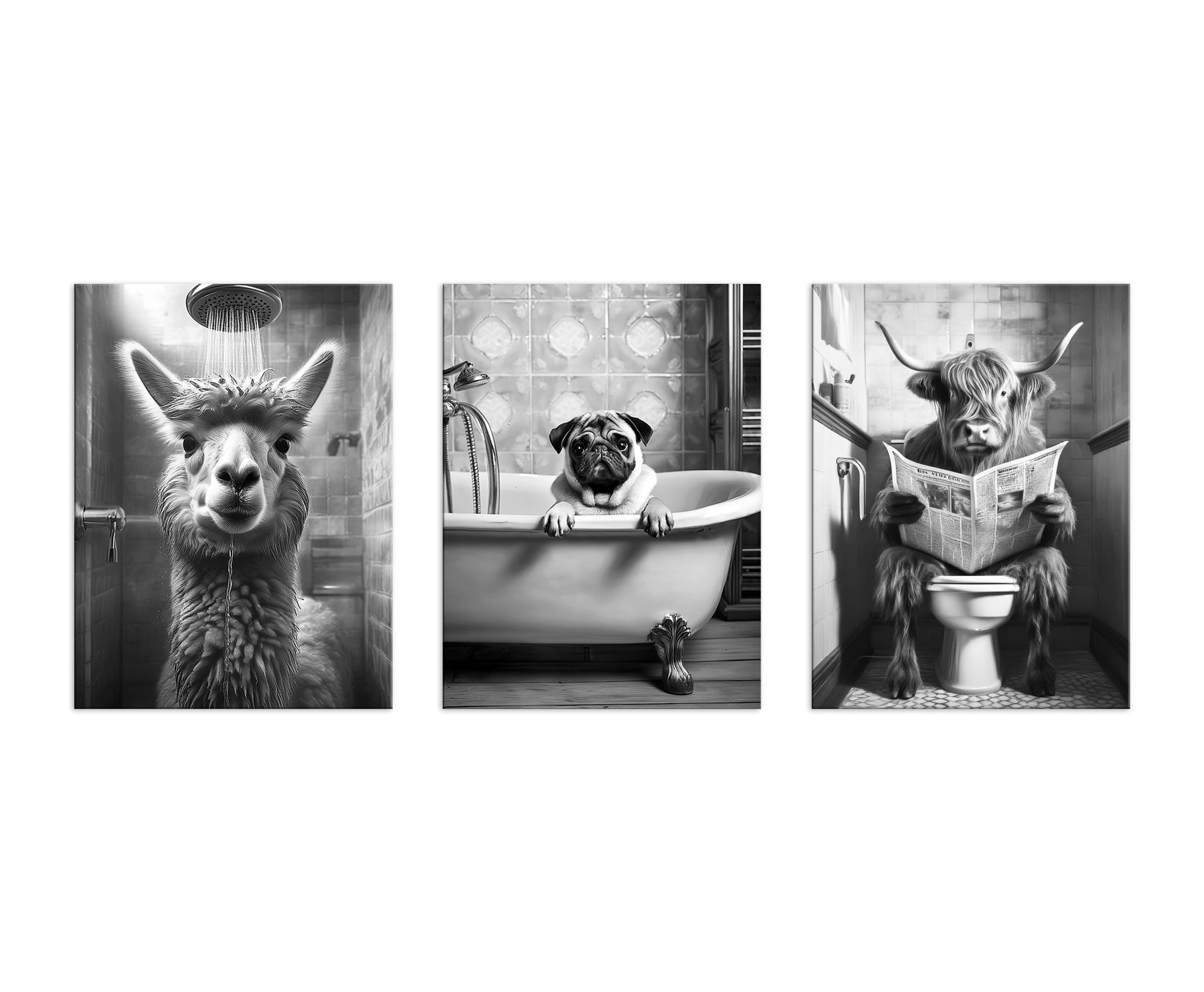 artissimo Mehrteilige Bilder Bilderset 3er-Set, Deko Bad / Badezimmer, schwarz-weiß, lustige Bilder, Badezimmerbild: Hochland Kuh / Alpaka / Mops – Bild 5 von 5