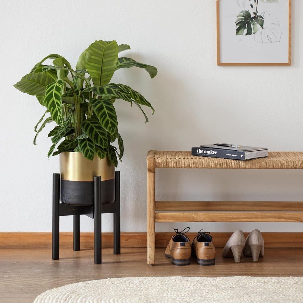 Lumaland Blumenständer (3 St), aus Bambus günstig online kaufen