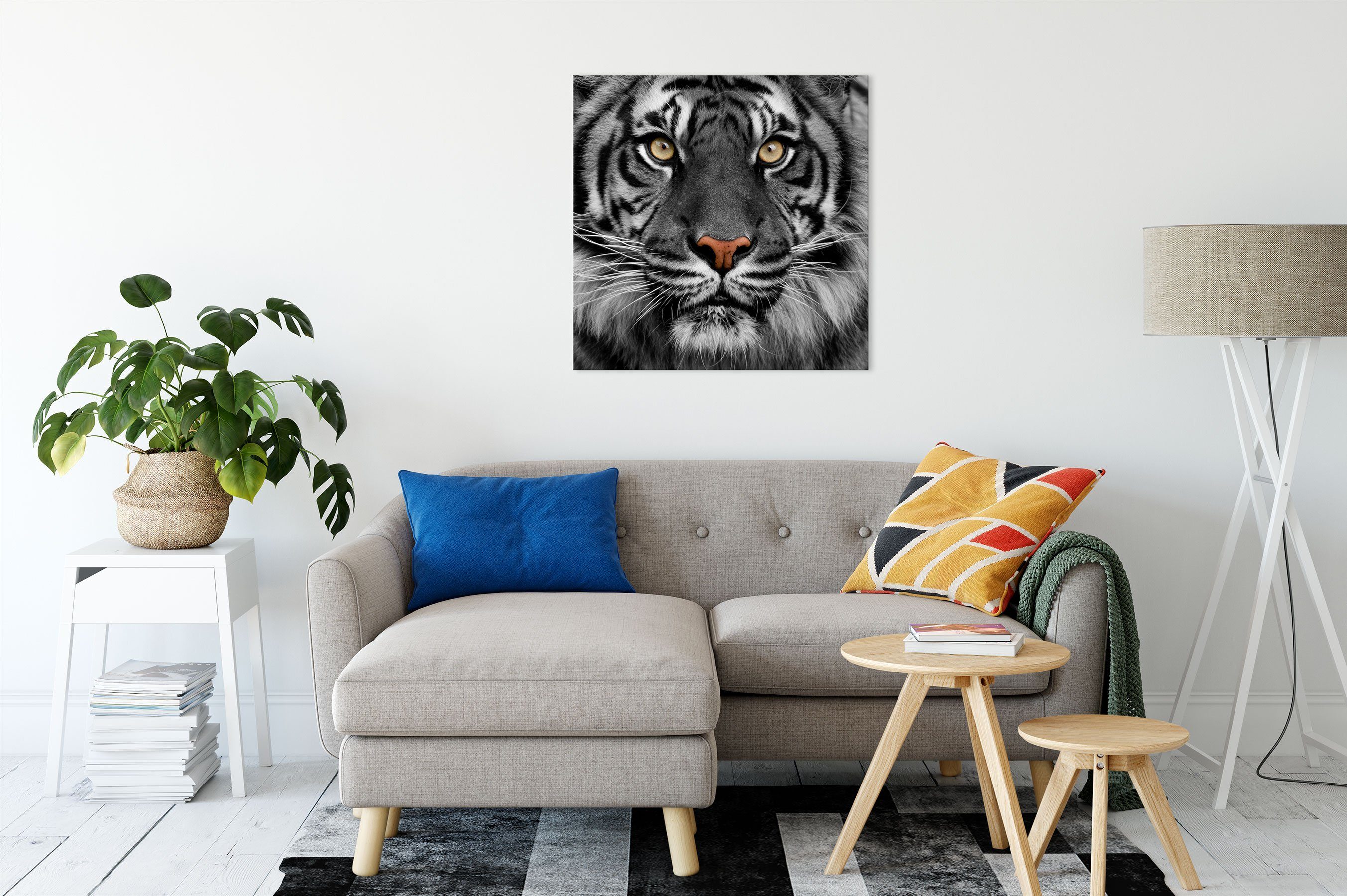 Pixxprint Leinwandbild Aufmerksamer Tiger, fertig St), Leinwandbild Zackenaufhänger (1 bespannt, Tiger Aufmerksamer inkl