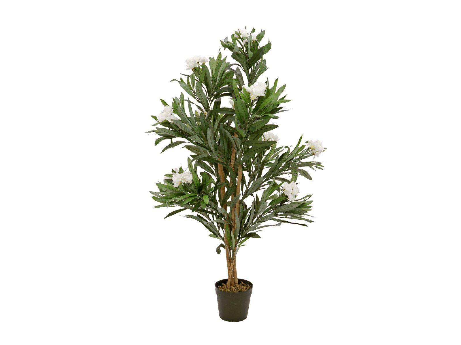 Kunstbaum EUROPALMS Oleanderbaum, Kunstpflanze, weiß, 120 günstig online kaufen