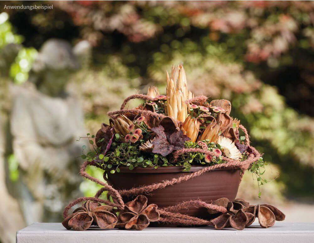 matches21 HOME & HOBBY Blumentopf Grabschale Pflanzschale Blumenschale braun 25 cm (1 St)