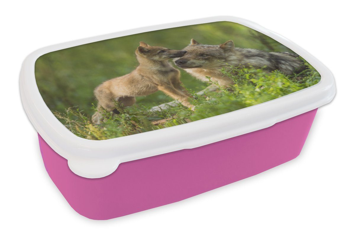 MuchoWow Lunchbox Wolf - Gras - Junge, Kunststoff, (2-tlg), Brotbox für Erwachsene, Brotdose Kinder, Snackbox, Mädchen, Kunststoff rosa