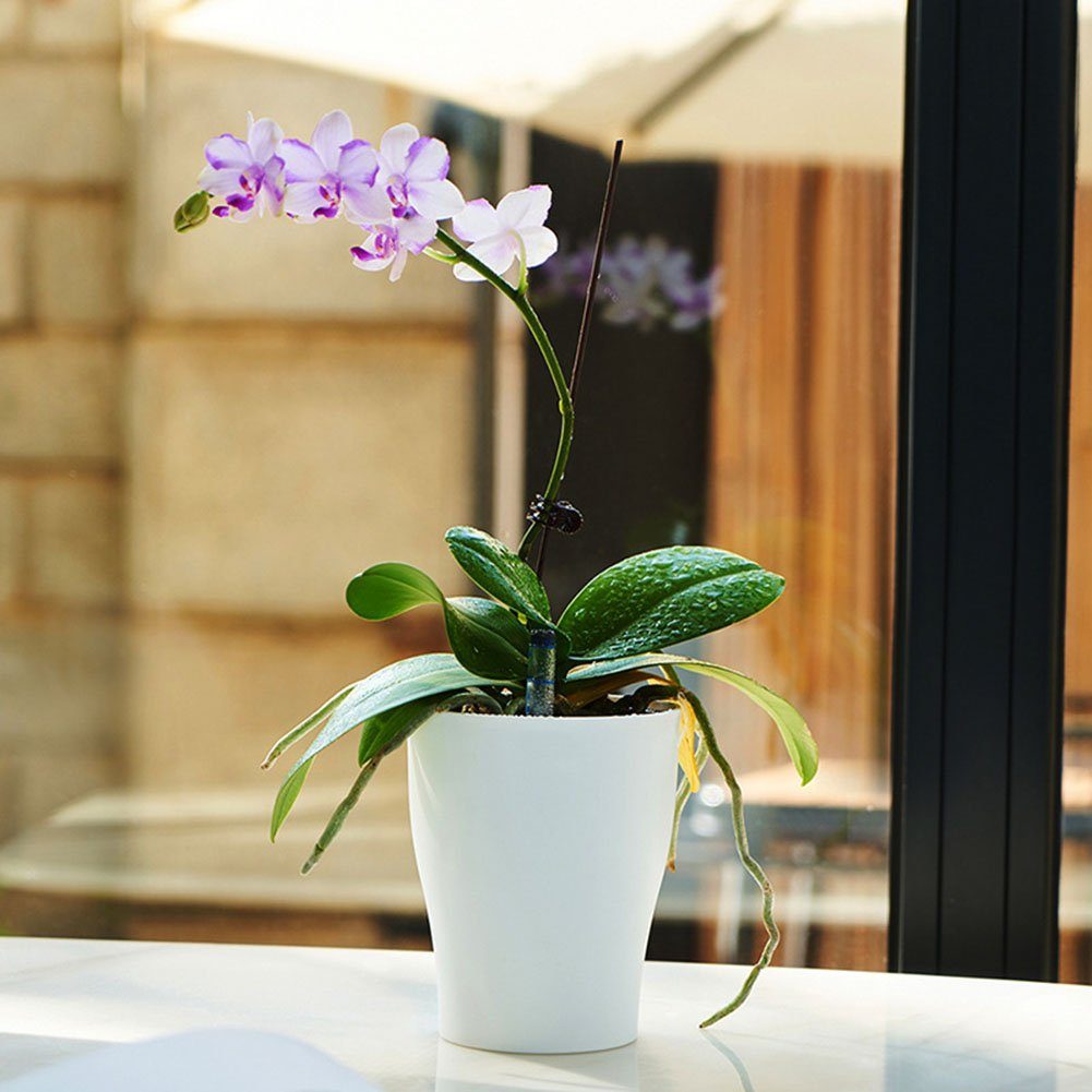 Weiß Blumentopf Innen- Außenbereich und Wasseranzeiger für Blumentopf mit Atäsi