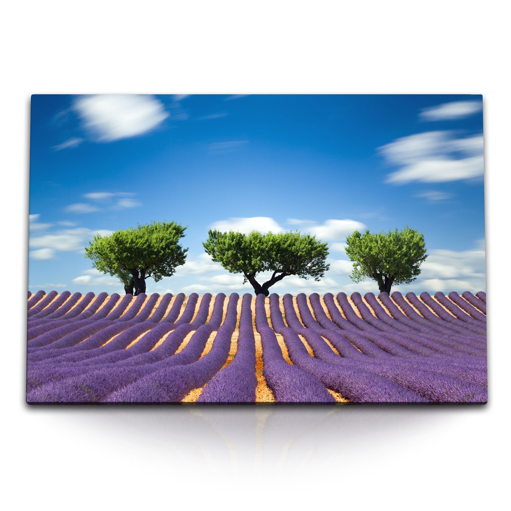 Sinus Art Leinwandbild 120x80cm Wandbild auf Leinwand Lavendelfeld Lavendel Bäume Landschaft, (1 St)