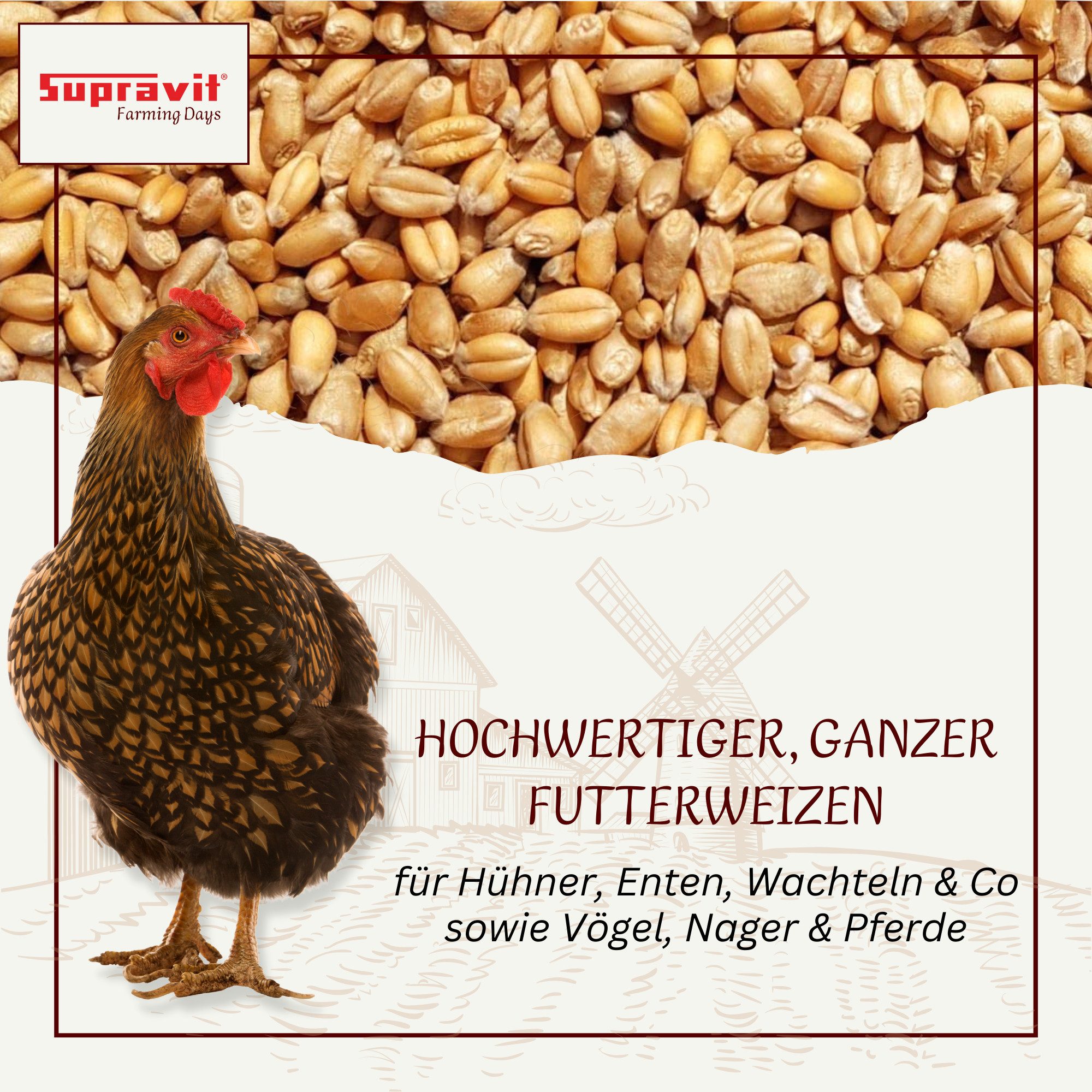 Supravit Weizen Futterweizen - Premium regionales Futtergetreide, Ergänzungsfutter für: Nutz-/ Wildtier