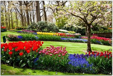 Wallario Sichtschutzzaunmatten Bunte Blumen und Kirsch-Baum im Park blühen im Frühling