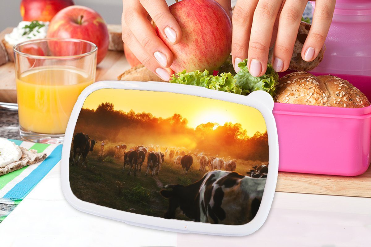 Kunststoff, Tiere, - - Sonnenuntergang Lunchbox Brotbox - (2-tlg), für Mädchen, Snackbox, Erwachsene, rosa MuchoWow Kinder, Brotdose Kunststoff Kühe Wiese