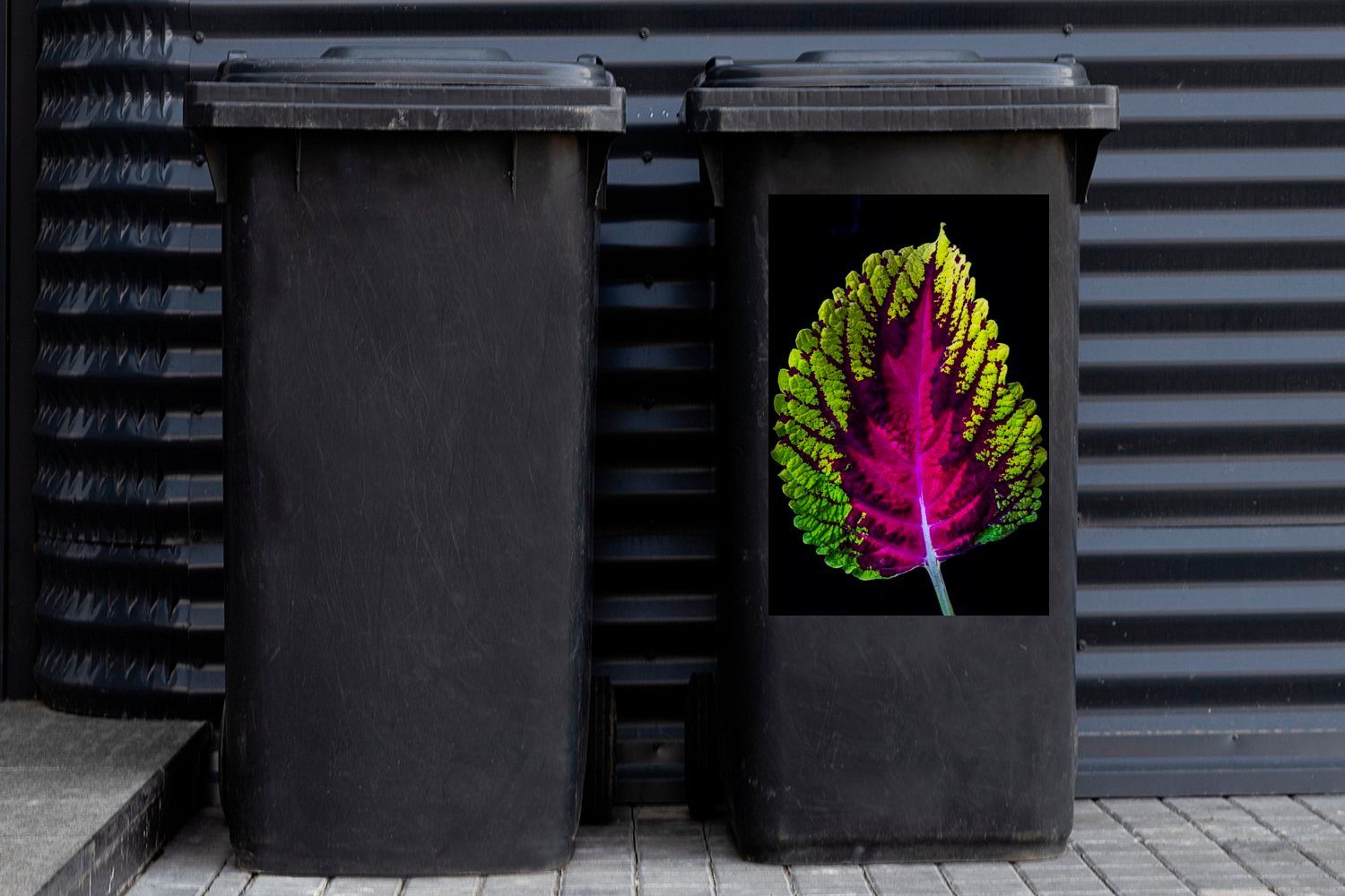 Mülltonne, St), Hintergrund auf Nesselblatt Container, Sticker, Ornamentales schwarzem MuchoWow Wandsticker (1 Abfalbehälter Mülleimer-aufkleber,