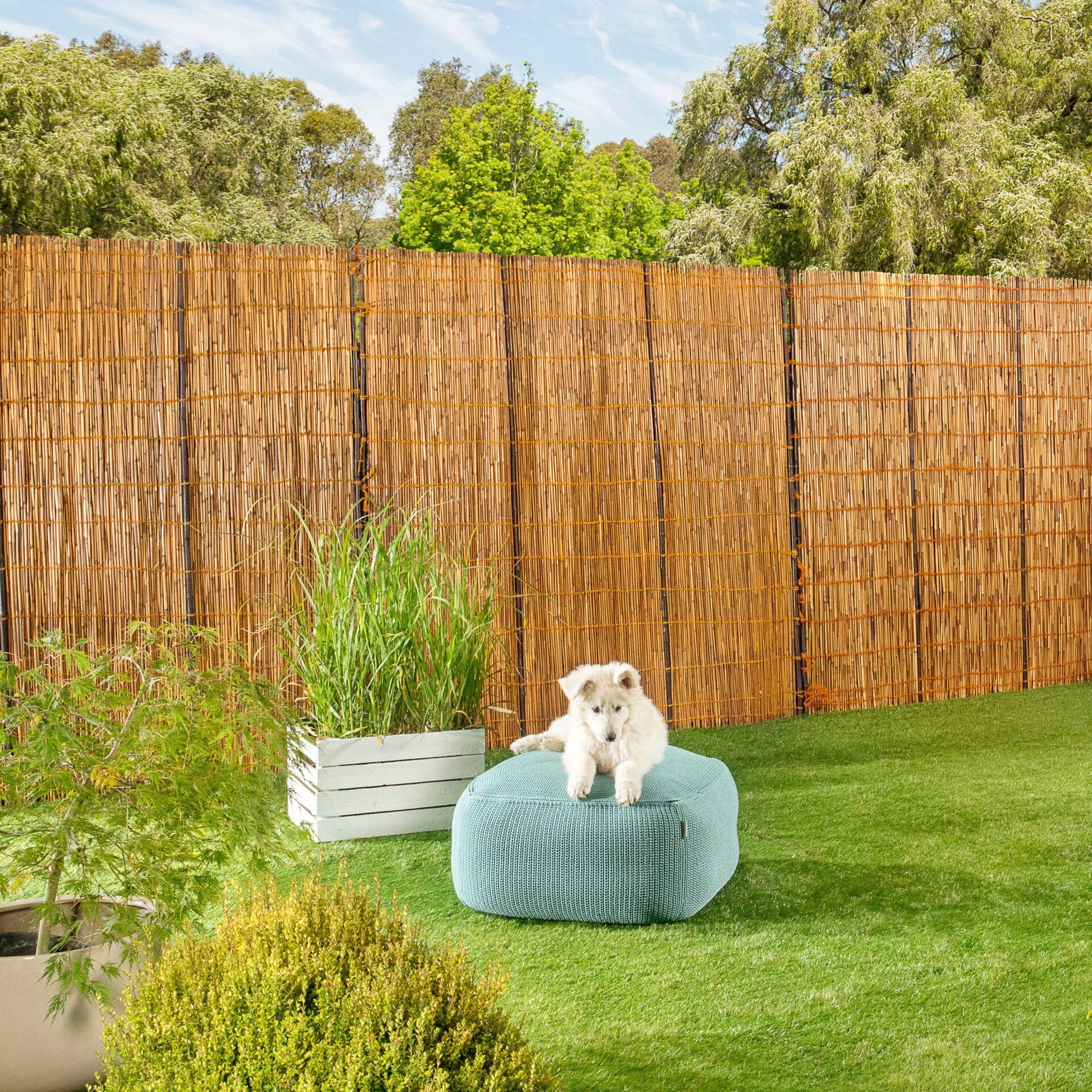 Windhager Sichtschutzzaunmatten, naturbelassenes Schilf mit Bambus-Verstärkung, L: 1,8 m