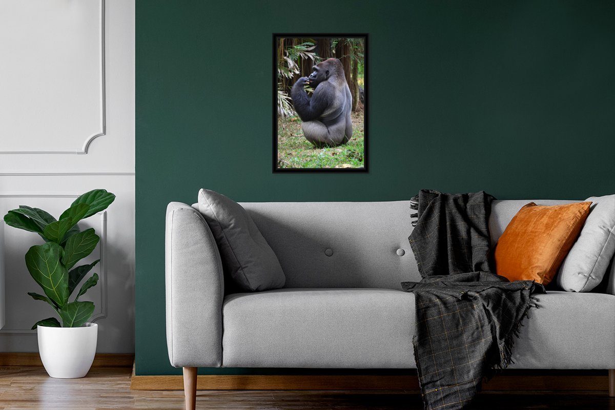 Poster Poster, Wanddeko, St), Schwarzem Wandposter, Bilder, fütternden MuchoWow Gorillas, Gerahmtes (1 Bilderrahmen Seitenansicht eines