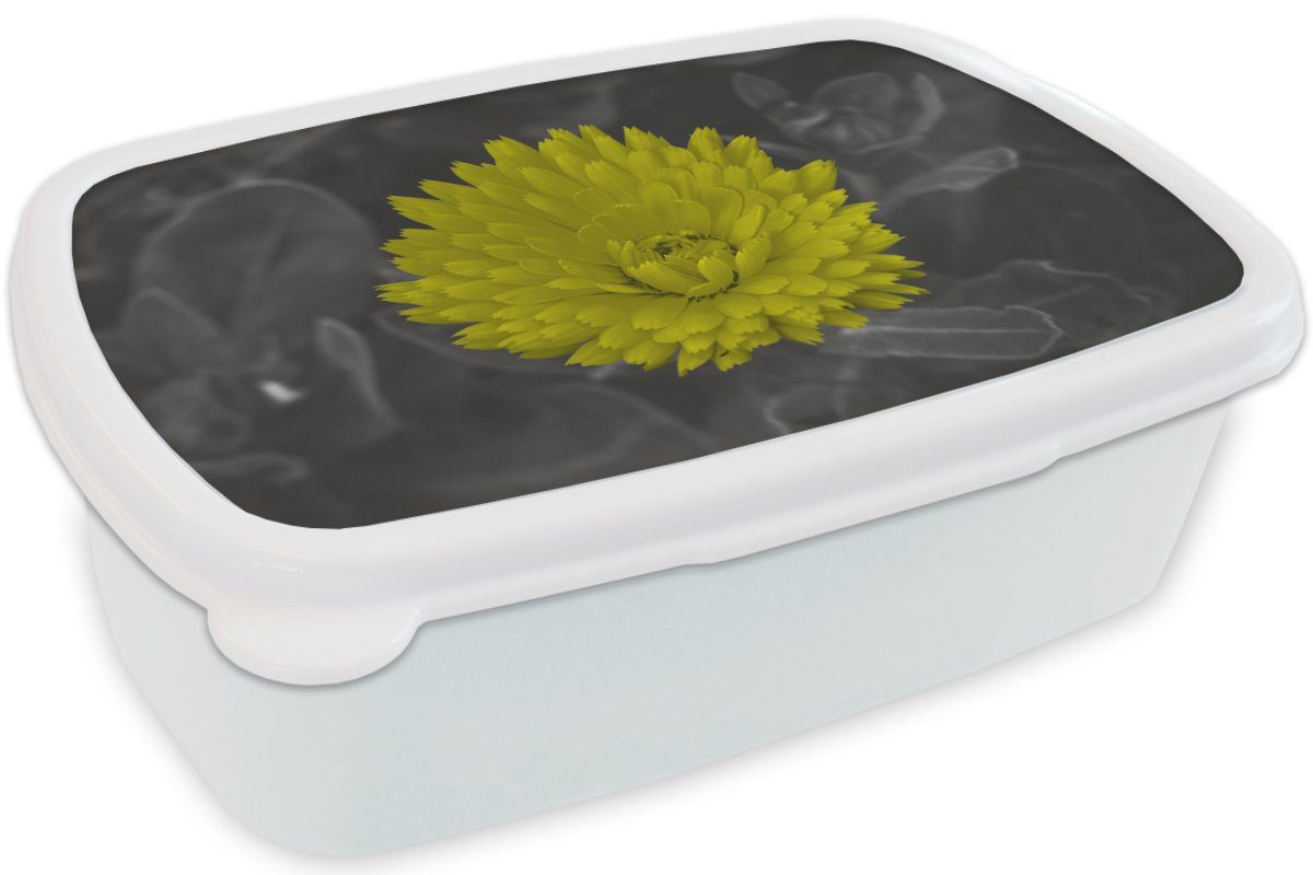 MuchoWow Lunchbox Blumen - Jungs Brotdose, - Kinder für und Erwachsene, Mädchen Löwenzahn, für Aquarell weiß (2-tlg), Kunststoff, und Brotbox