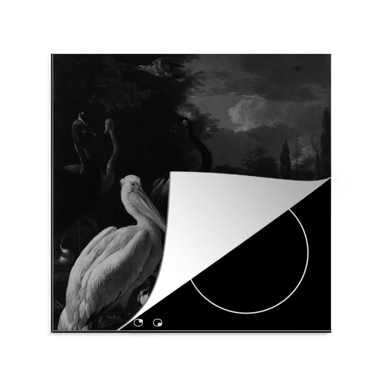 MuchoWow Herdblende-/Abdeckplatte Ein Pelikan für eines Arbeitsplatte -, Vögel und cm, Wasserbeckens der tlg), in Nähe Vinyl, Ceranfeldabdeckung, (1 küche 78x78 andere