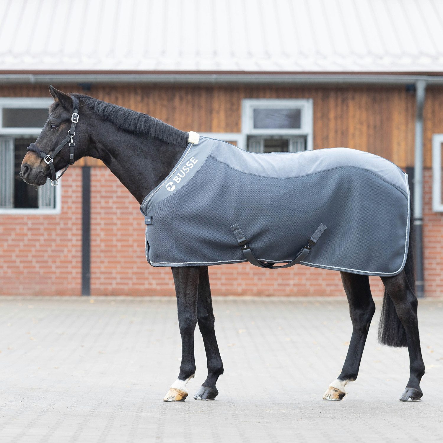 Pferde-Abschwitzdecke BUSSE Abschwitzdecke 3D Air Fleece Premium