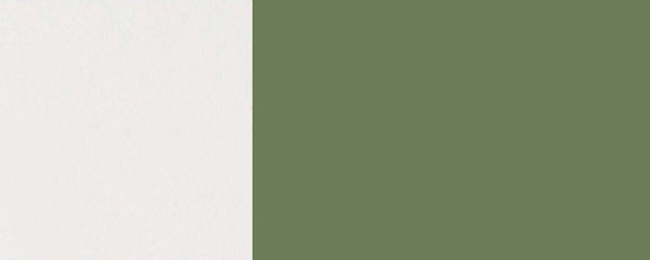 Front- Korpusfarbe matt wählbar (Tivoli) Tivoli RAL resedagrün und 60cm 2-türig 6011 Feldmann-Wohnen Klapphängeschrank