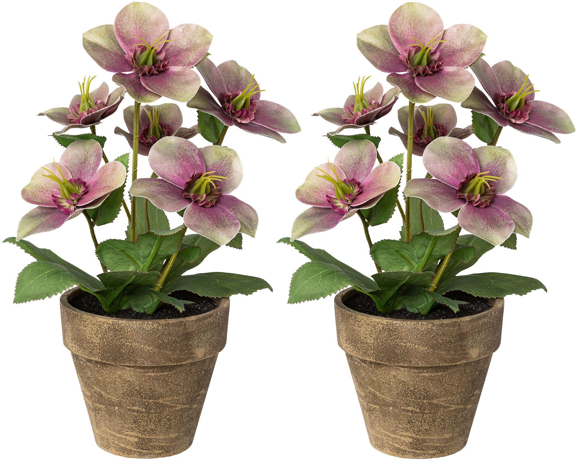 Winterliche Kunstpflanze Weihnachtsdeko Christrose, Creativ deco, Höhe 28 c günstig online kaufen