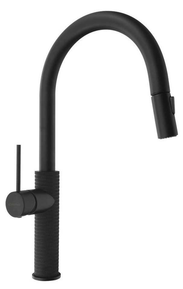 Sapho Küchenarmatur FLAWO Küchenarmatur mit ausziehbarer Spülbrause, schwarz matt Sapho-FR576B