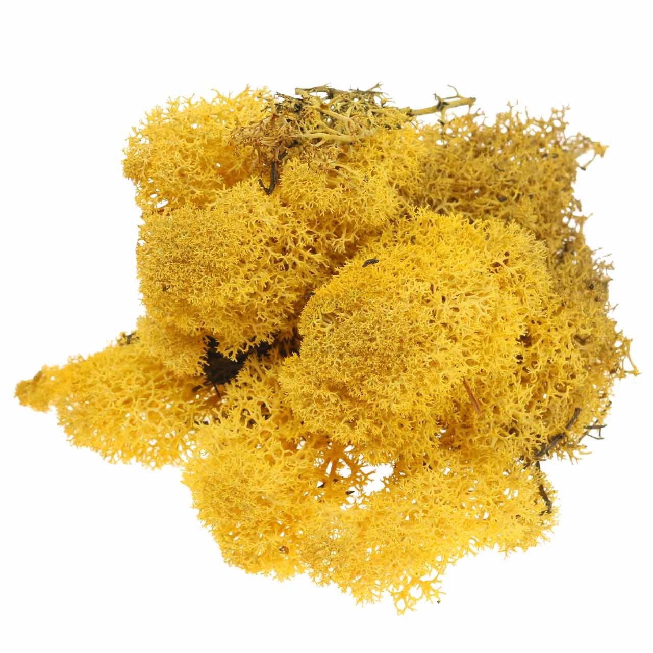 Bastelmoos Islandmoos Gelb 400g - Dekomoos, Bastelmoos, Konserviertes