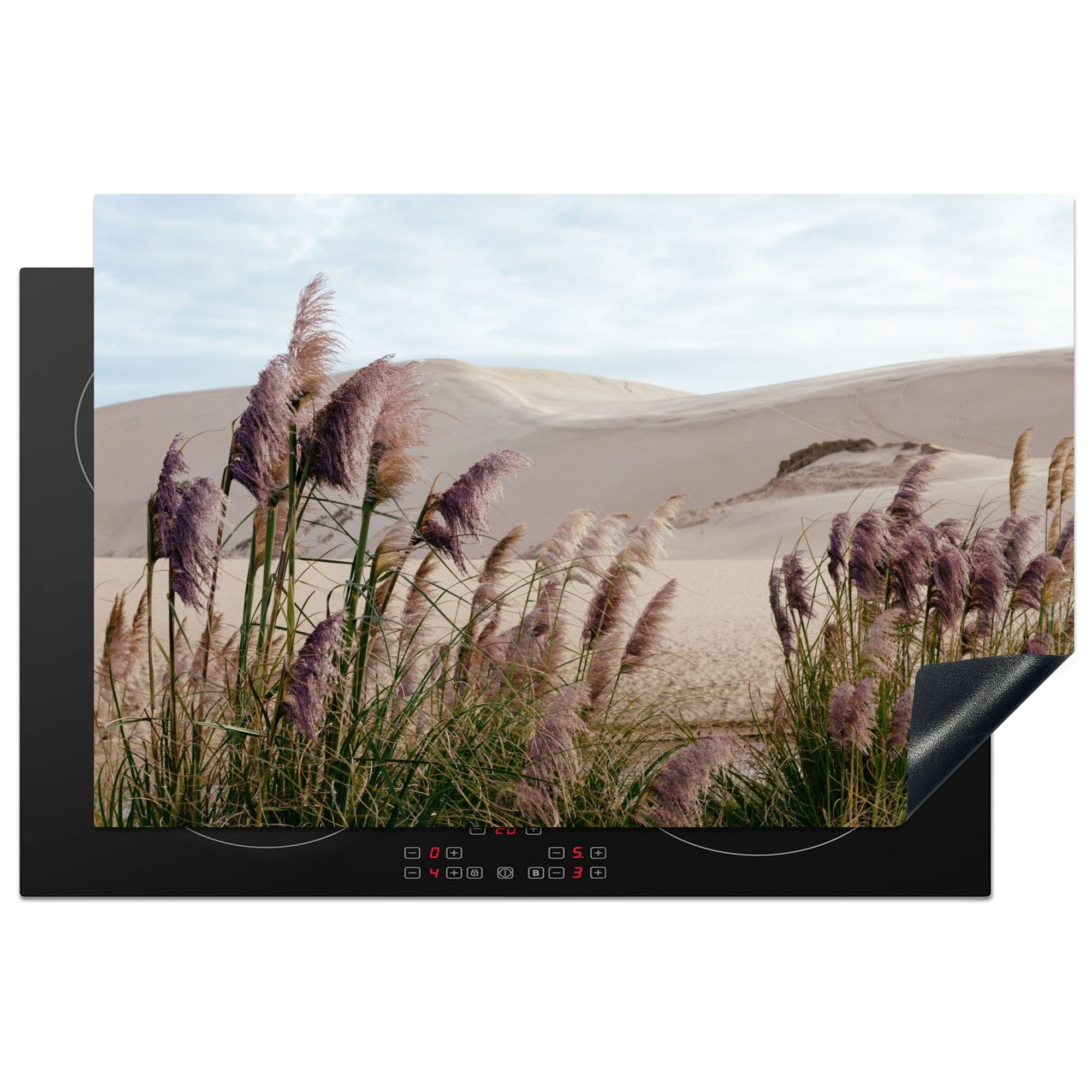 Arbeitsplatte Pflanzen 81x52 (1 Ceranfeldabdeckung, cm, - Pampasgras tlg), - - Düne, küche MuchoWow für Sand Vinyl, Herdblende-/Abdeckplatte