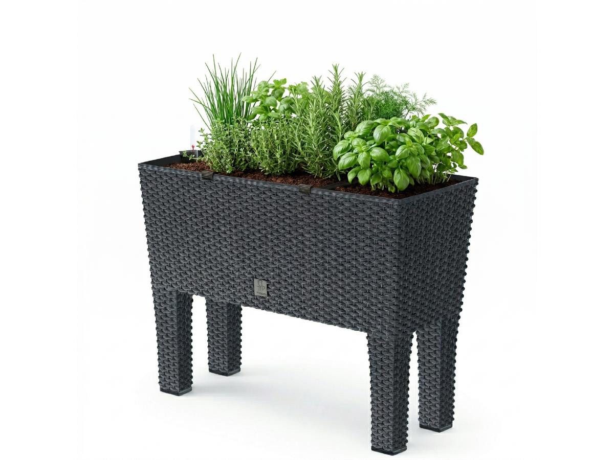 Prosperplast Hochbeet Rato Case High, inkl. Bewässerungssystem, abnehmbare Beine