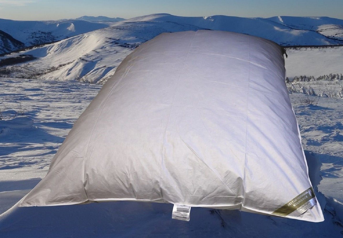 Hofmann natürlichen cm, Franken Gänsedaunen Füllung: Oberbett Hofmann, fränkische Farbeinschüssen 1500g neue Daunenbettdecke, Daunenbett mit weiße Betten 100% Daunen, Ballonbett 135x200