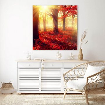 Primedeco Glasbild Wandbild Quadratisch Nebliger Herbstwald mit Aufhängung, Natur