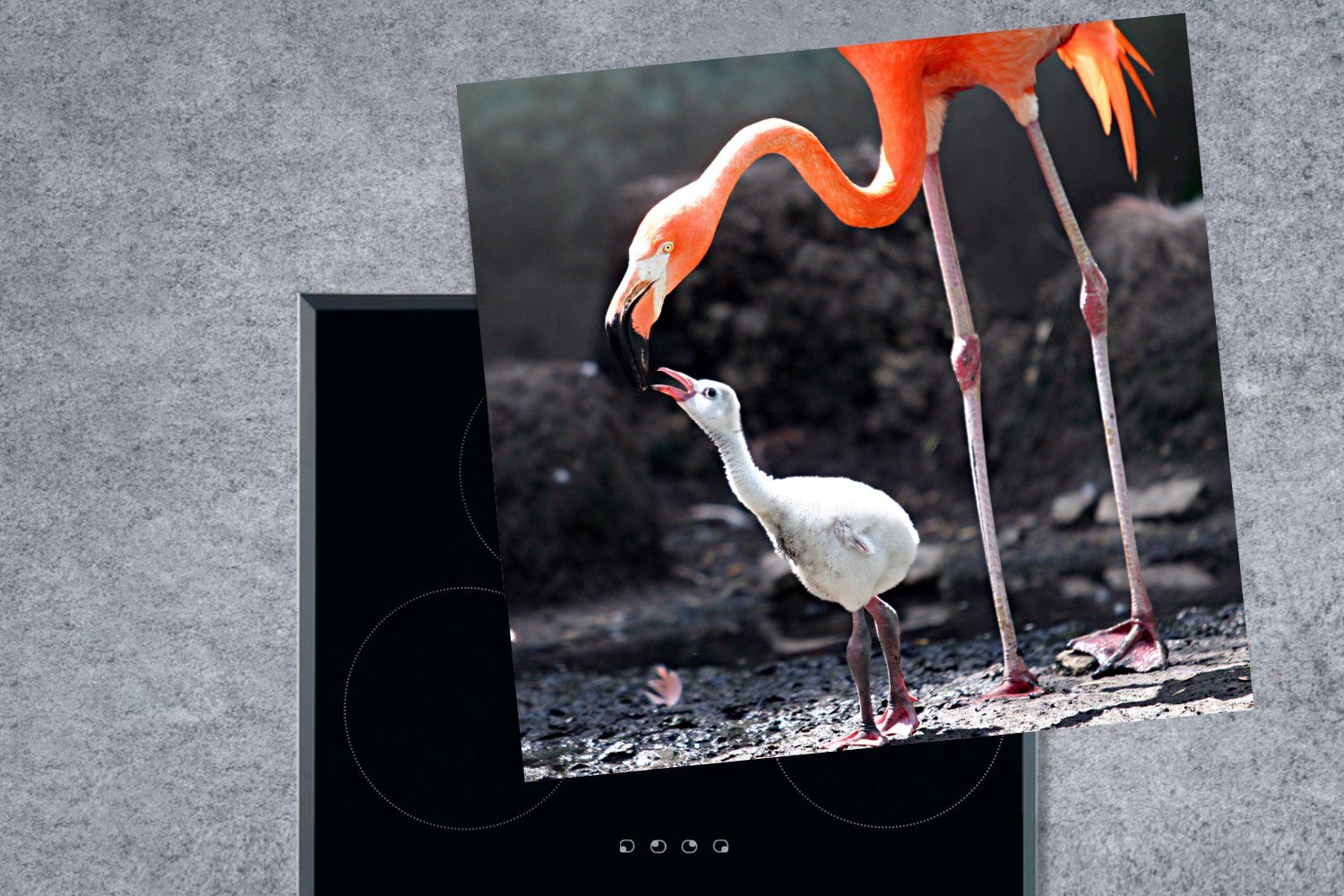 MuchoWow Herdblende-/Abdeckplatte Mutter Flamingo Ceranfeldabdeckung, für tlg), küche (1 Arbeitsplatte cm, Vinyl, Baby, füttert 78x78 ihr
