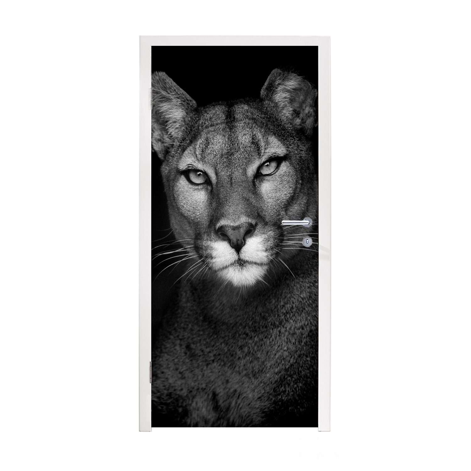 MuchoWow Türtapete Porträtfoto eines Pumas auf schwarzem Hintergrund, Matt, bedruckt, (1 St), Fototapete für Tür, Türaufkleber, 75x205 cm