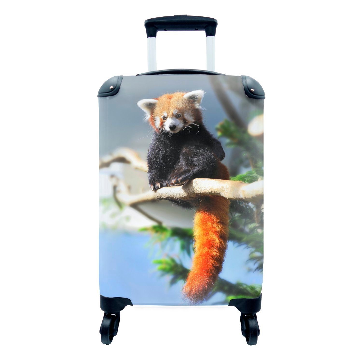 - Handgepäckkoffer für Reisetasche Rollen, MuchoWow Panda Trolley, mit rollen, Roter Zweig, Reisekoffer Sonne 4 Handgepäck - Ferien,