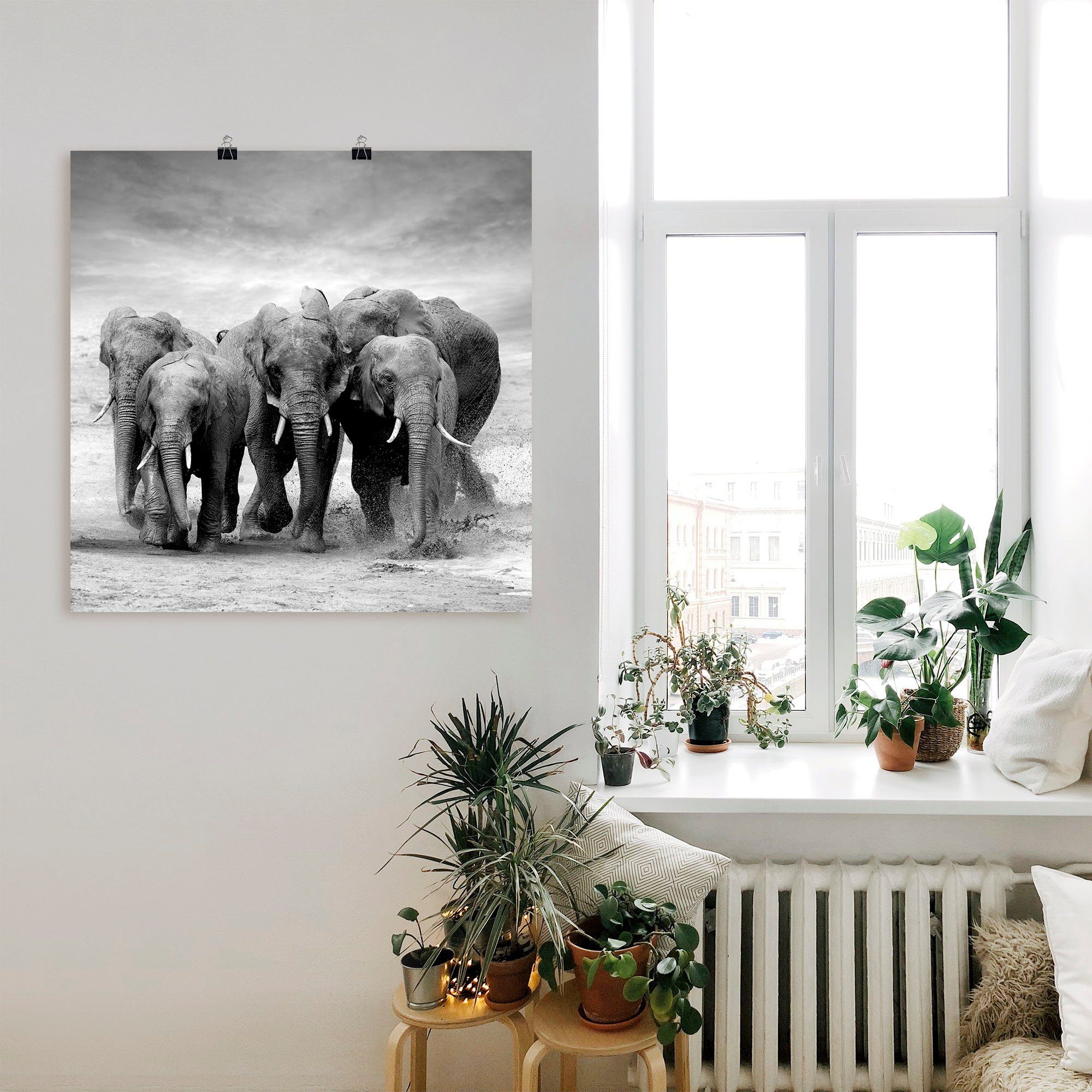 Artland Wandbild Elefanten, Wildtiere (1 St), Leinwandbild, Größen Alubild, oder Poster Wandaufkleber als versch. in