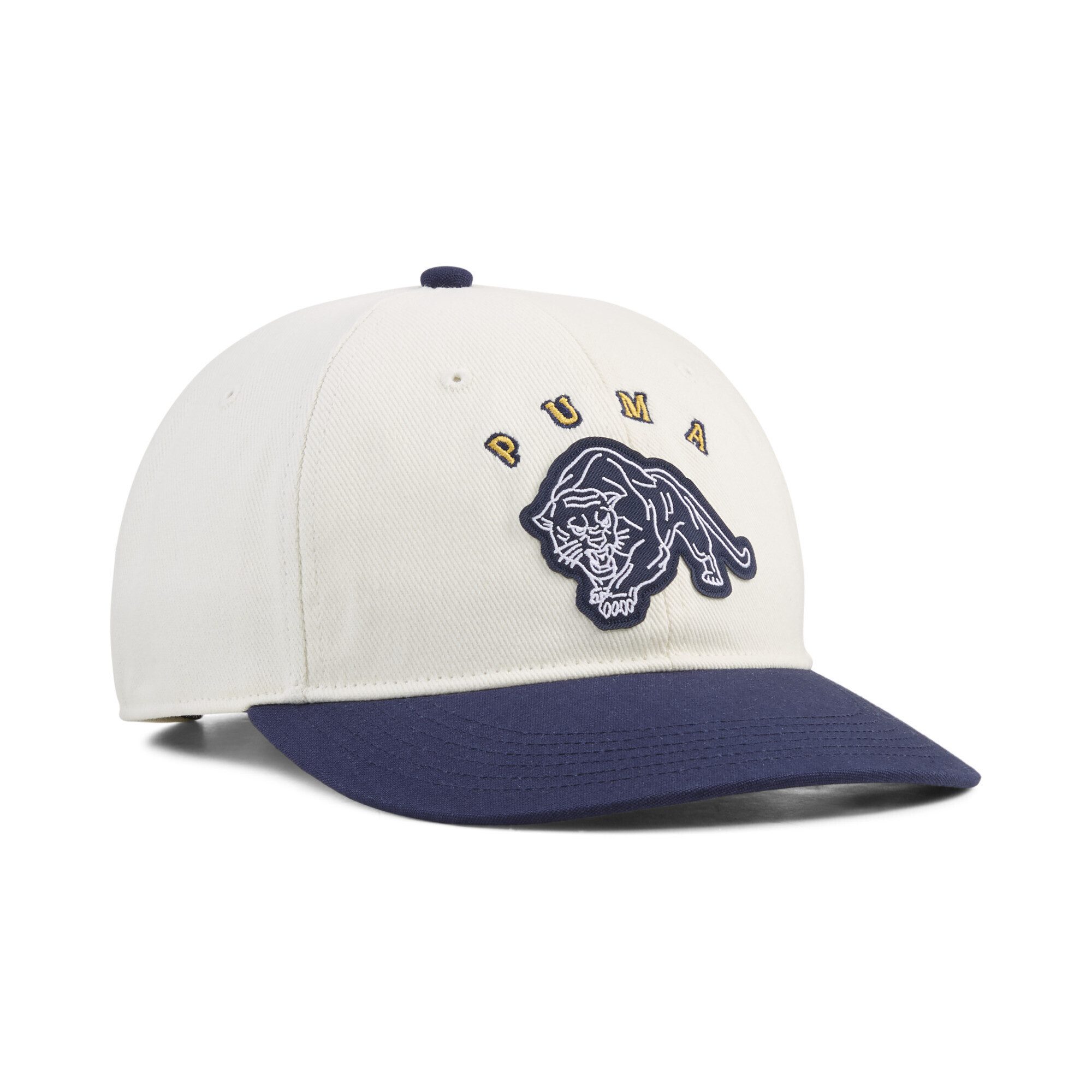 PUMA Flex Cap Vintage Low Curve Cap Erwachsene