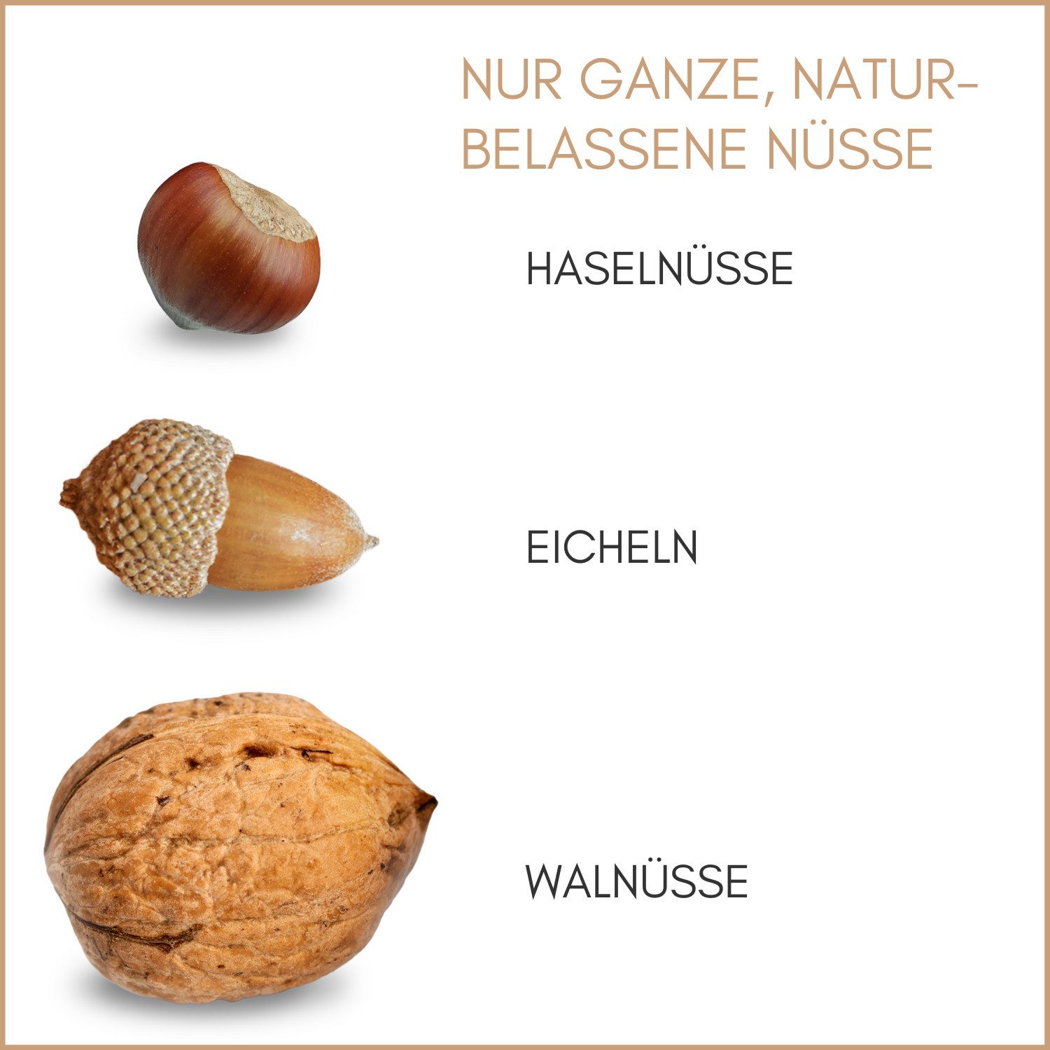 Supravit Frische Nüsse-Mix Eichhörnchenfutter 1kg - Ganzjähriges Futter, Ergänzungsfutter für: Nutz-/ Wildtier