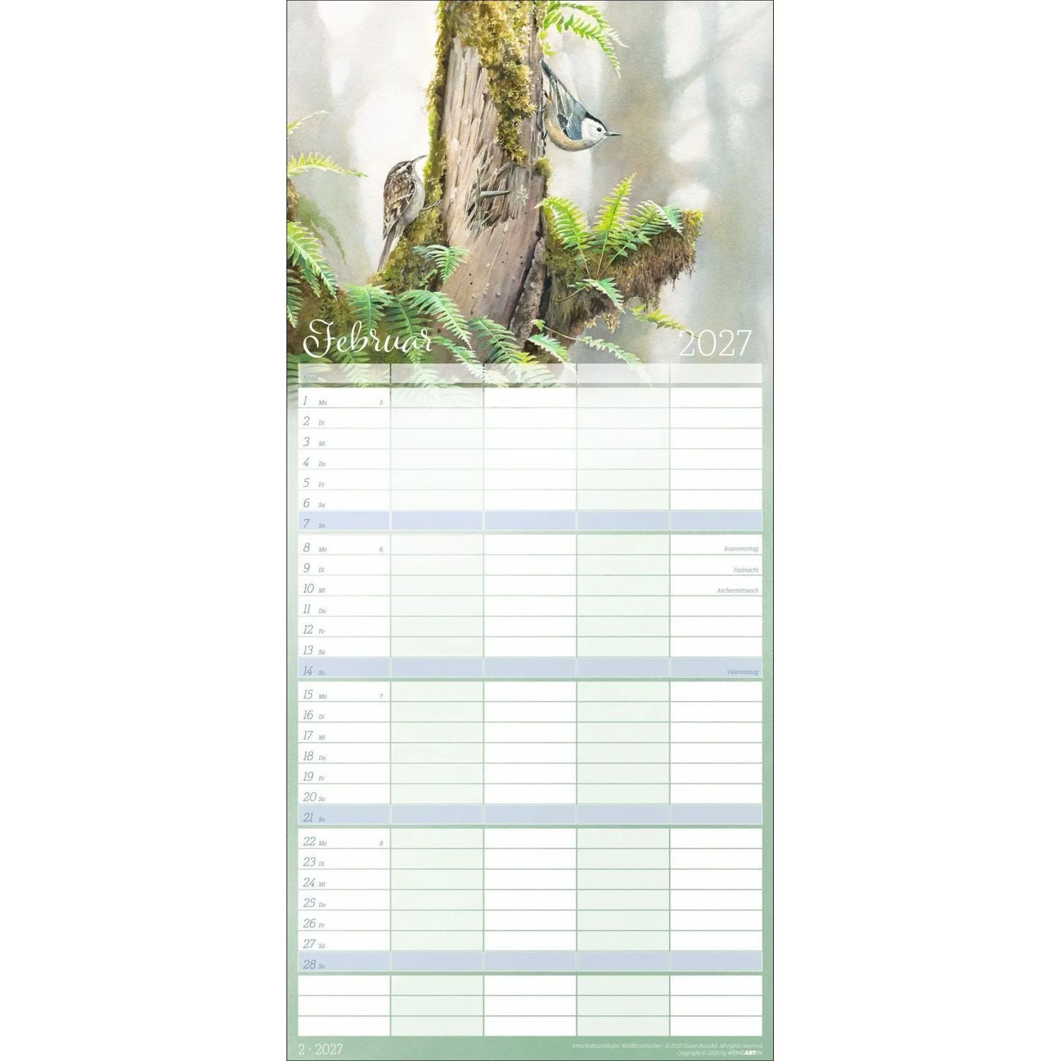 Wandkalender Bunte Vogelwelt Familienplaner 2027 – Bild 4 von 5