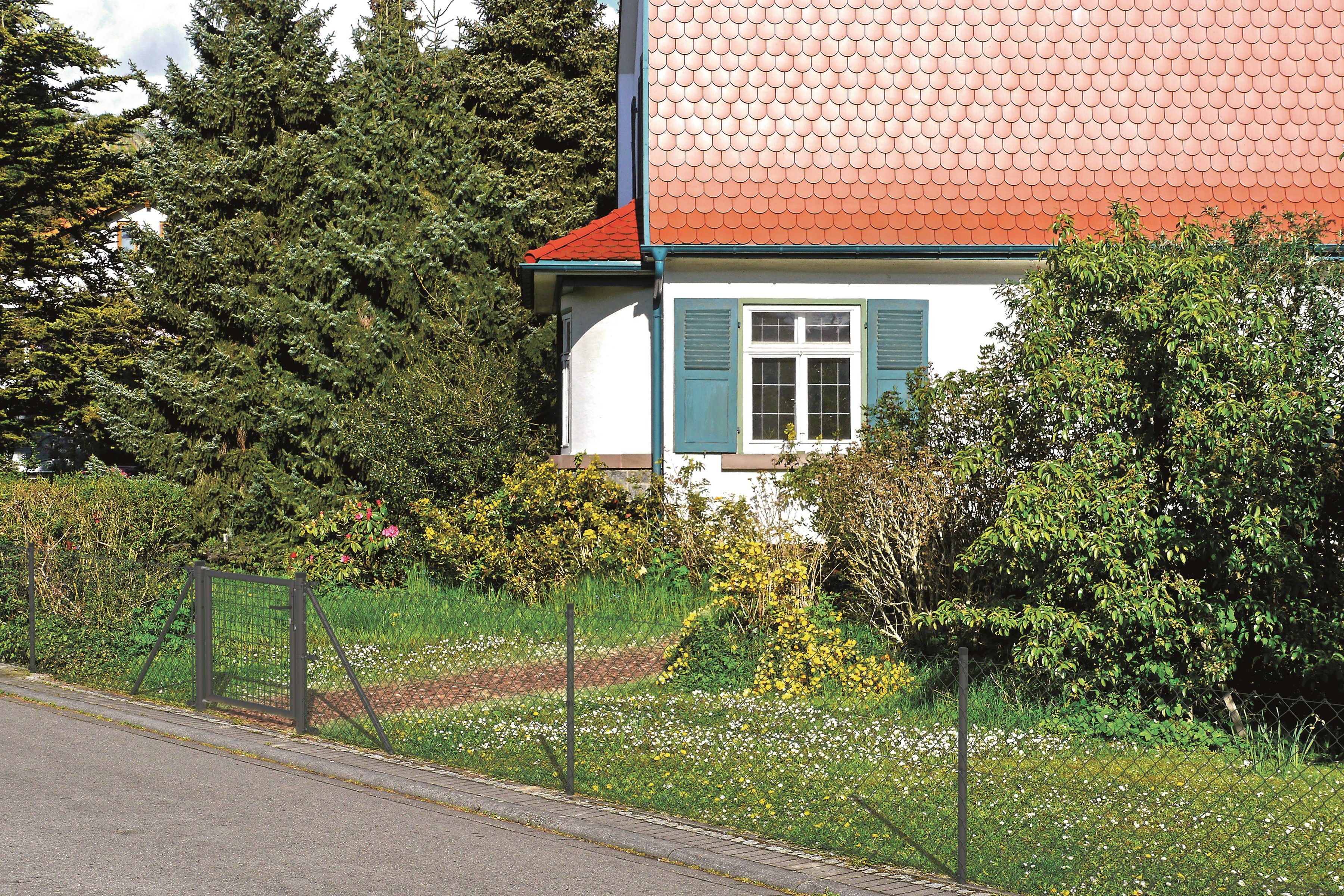 Alberts Maschendrahtzaun, (Set), Höhe: 80 - günstig online kaufen
