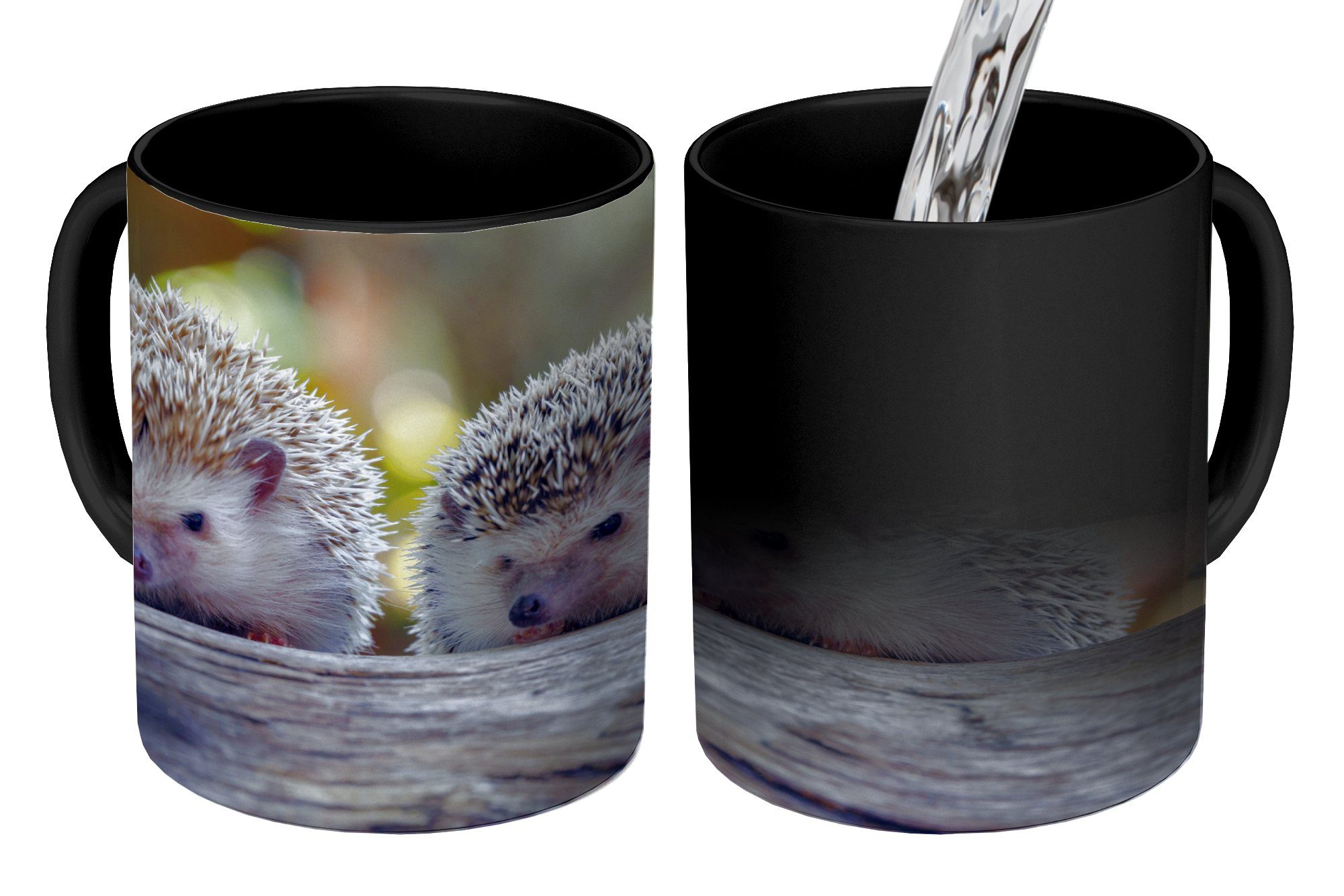 MuchoWow Tasse Zwei Igel sitzen auf einem Ast, Keramik, Farbwechsel, Kaffeetassen, Teetasse, Zaubertasse, Geschenk